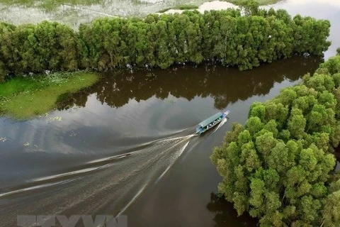 Mekong Delta - An ideal destination for foreign visitors