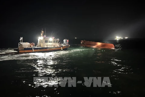 Two Vietnamese fishermen missing in boat sinking in RoK