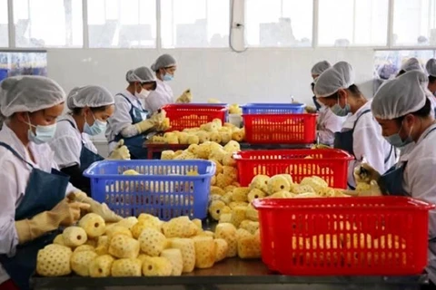 China issues 435 codes for Vietnamese agricultural product exporters