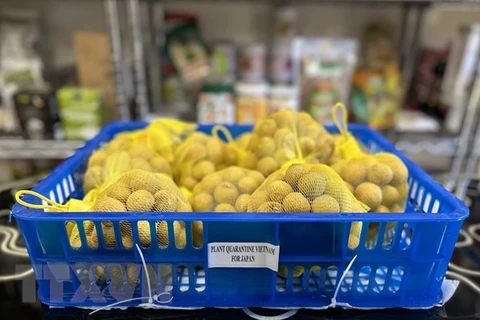 Vietnam needs to build national brands for fruits