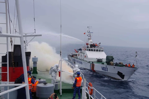 Vietnam, Japan foster cooperation at sea