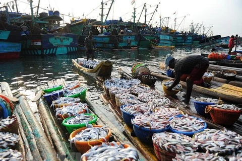 Indonesia suggested to adopt fisheries models from neighbouring countries