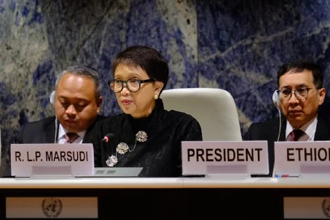 Indonesia proposes focuses of cooperation for human rights