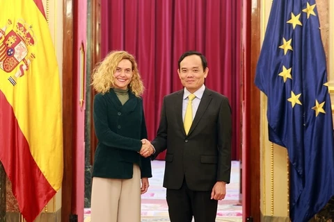 Vietnam willing to join Spain in elevating strategic partnership: Deputy PM