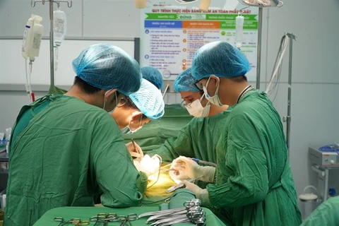 HCM City hospitals develop organ procurement, transplantation network