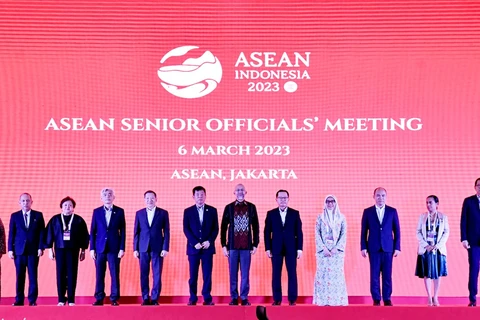 Vietnam supports ASEAN’s cooperation priorities for 2023: ambassador