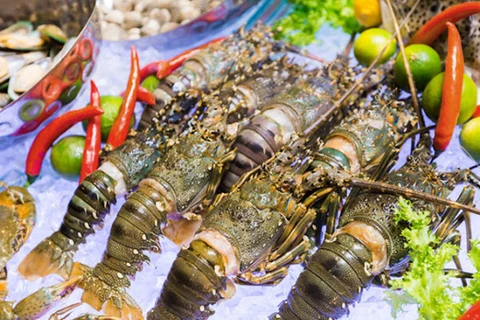 Chinese market favours Vietnamese lobster but prices are rocky