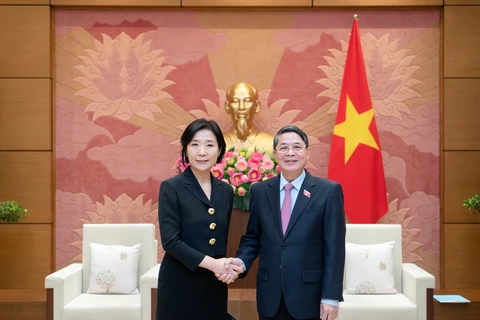 Vietnam attaches importance to developing relations with RoK: official