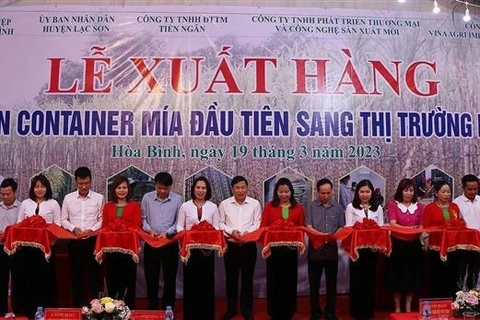 Hoa Binh province exports first batch of fresh sugarcane to US