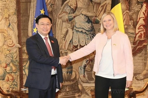 Vietnam, Belgium enjoy fruitful 50-year-ties: Ambassador