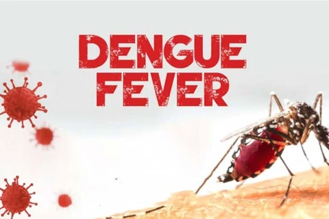 Laos strengthening dengue fever prevention, control