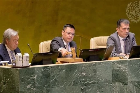 Vietnam contributes to resolution seeking ICJ’s act related to climate change