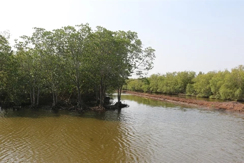 Mekong Delta to increase forest cover