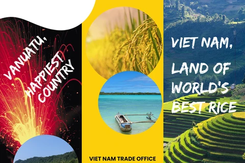 Vietnam's ST25 rice exported to the Republic of Vanuatu