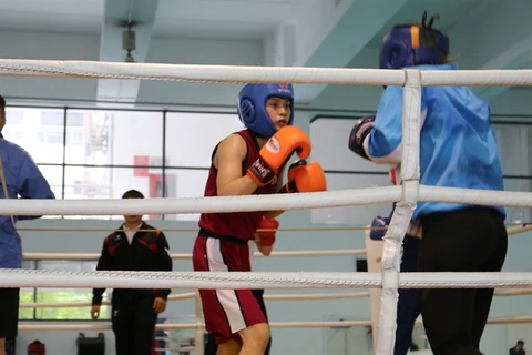 Vietnamese boxers gearing up for SEA Games 32