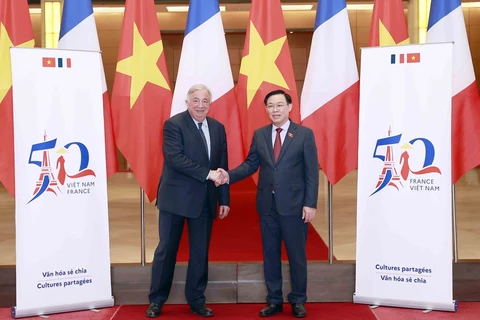 Vietnam, France – accompanying, reliable partners: Ambassador