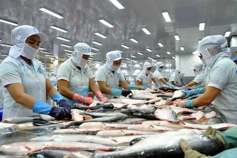 Tra fish by-products to become huge money earner: Experts