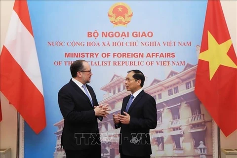 Vietnam hopes to cultivate ties with Austria: Foreign Minister