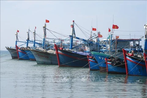 Quang Tri inspects high-risk vessels to fight illegal fishing