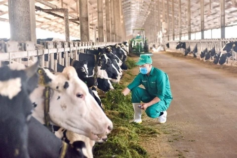Dairy businesses expect to improve profit margin