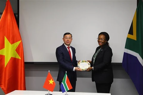 Vietnamese, South African audit offices share experience