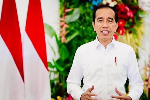 Indonesian President urges prudent response to COVID-19 surge