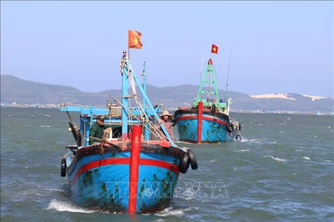 Fishing vessels in Phu Yen toe the line, avoid illegal fishing in foreign waters