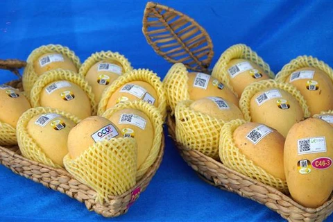 Vietnam ranks third in exporting mango to RoK 
