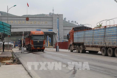 Warning issued on false information on exporting agricultural products to China