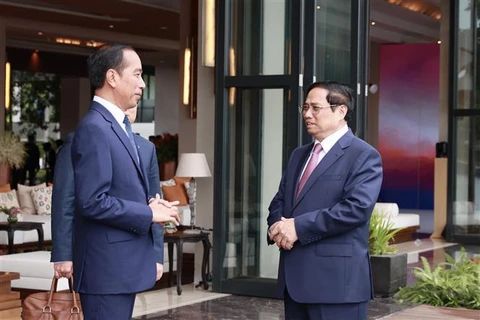 Leaders of Vietnam, Indonesia laud strides in bilateral relations