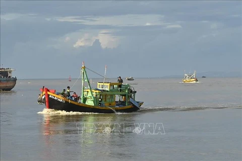 Binh Thuan authorities to inspect enterprises exporting aquatic products to EU