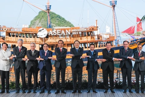 Vietnam actively contributes to strengthening ASEAN solidarity: Indonesian scholar