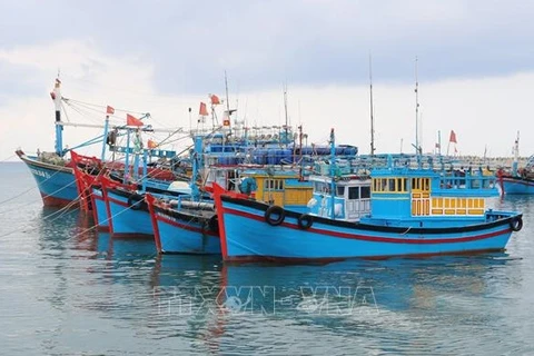 Joint efforts exerted to fight IUU fishing