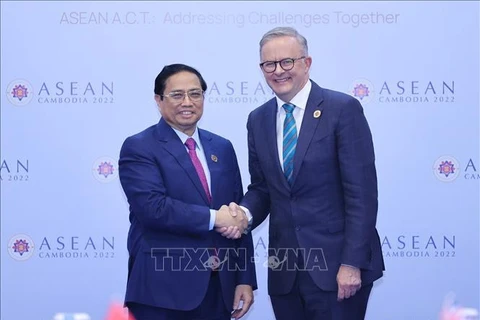 Vietnam-Australia strategic partnership makes impressive progress: expert