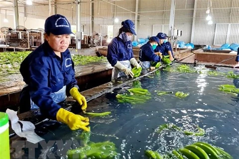 Export of Vietnamese fruits, vegetables sweeter by the day