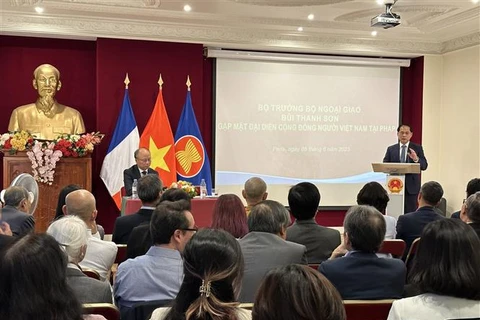 Foreign Minister hails contributions of Vietnamese community in France 