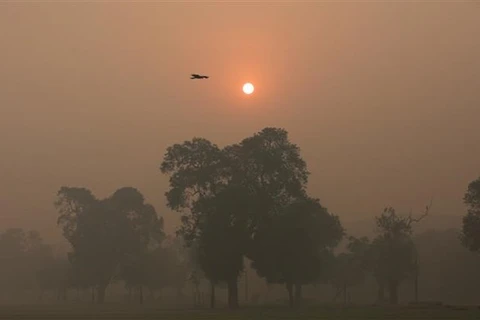 Indonesia works to prevent haze from spreading to Singapore