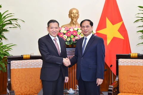 Vietnam-Thailand enhanced strategic partnership develops strongly: FM