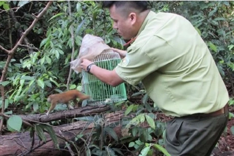 UN project to combat zoonotic disease risks from wildlife kicks off in Vietnam