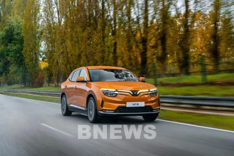 VAMA’s May automobile sales drop by 8%