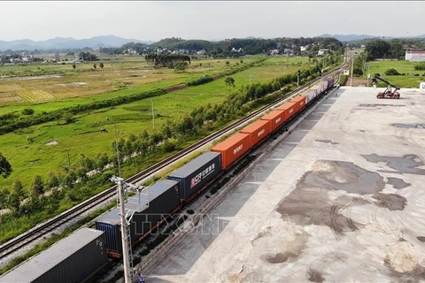 Bac Giang ships 56 tonnes of fresh lychees to China by rail