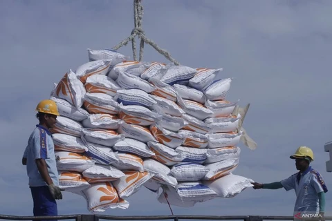 Indonesia inks MoU on importing 1 mln tonnes of rice from India