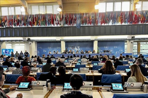 Vietnam attends 43rd Session of Ministerial-level FAO Conference