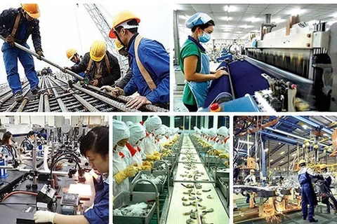 Developing high quality human resources for sustainable labour market recovery: experts