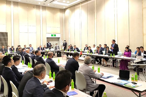 Binh Dinh province calls for more Japanese investment