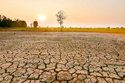 Thailand to see less rainfall into next year due to El Nino