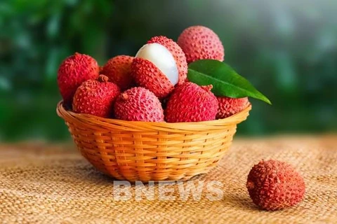 Vietnam Airlines transports fresh lychee to 7 countries in Europe, Asia