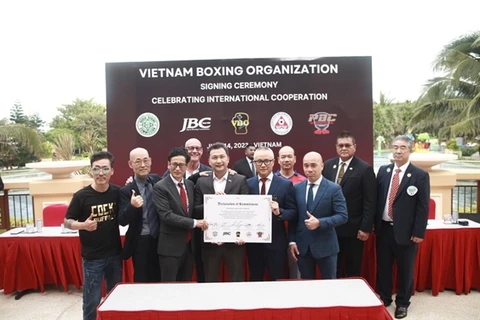 Vietnam Boxing Organisation established to push boxing