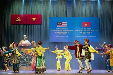 Vietnam, Malaysia see myriad development, investment opportunities: expert