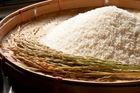 Thai exporters concerned about price hikes after India’s rice export ban